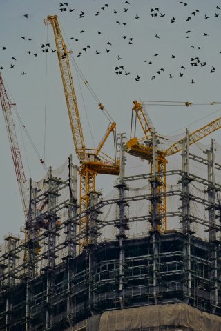 High-rise construction site with yellow cranes